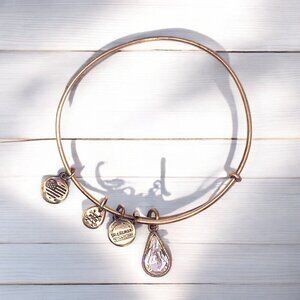 Alex and Ani Clear Crystal April Birthday Teardrop Charm Bracelet Gold Finish